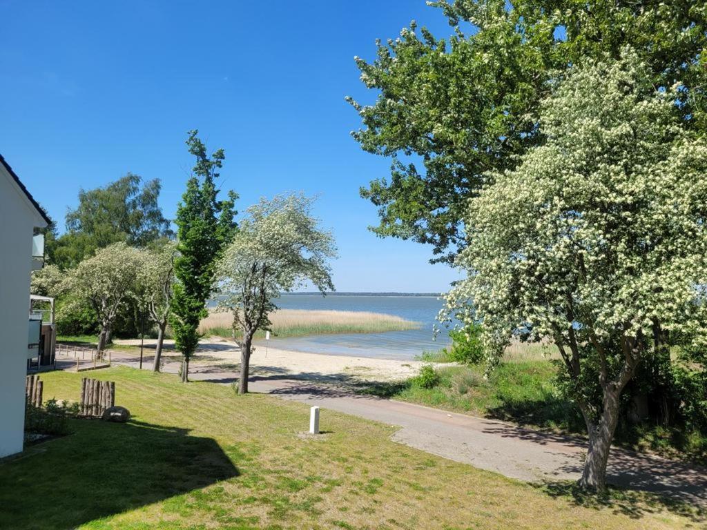 Baltic Lagoon Resort Direkt Am Meer Fuhlendorf  Екстер'єр фото
